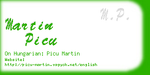 martin picu business card